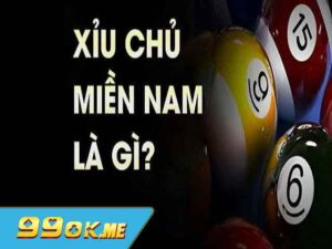 xỉu chủ miền nam